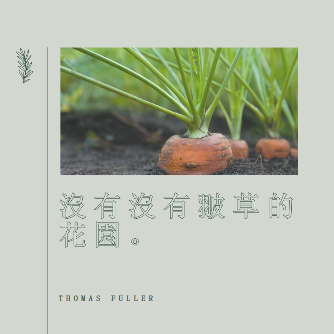 深根 green modern-simple