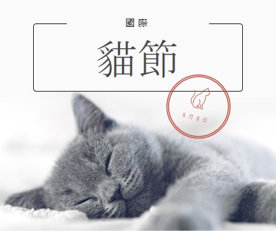 貓睡 gray modern-simple