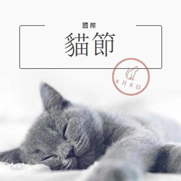 貓睡 gray modern-simple