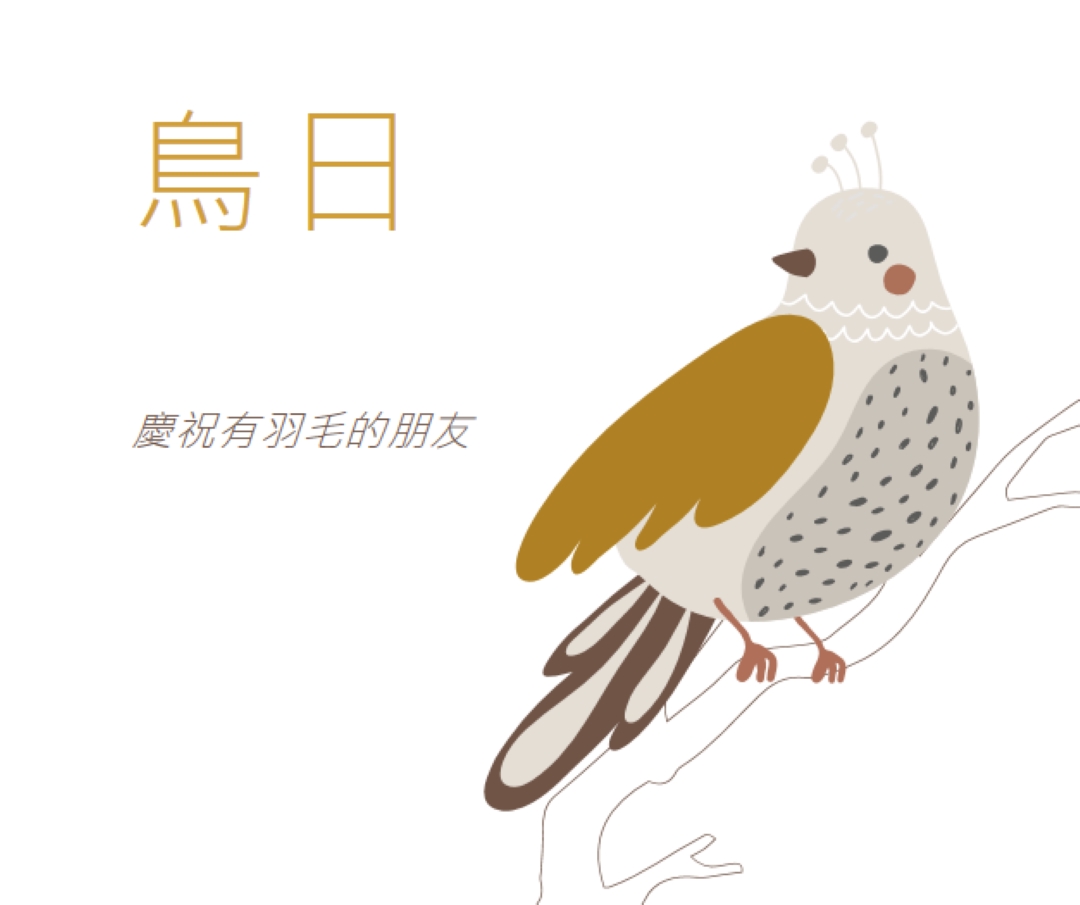 Sky 的限制 white whimsical-line