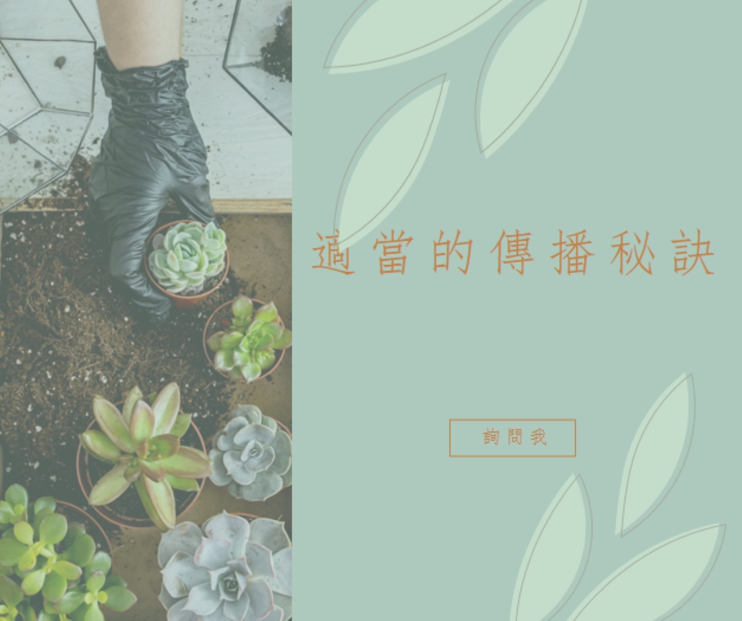 只是多肉植物 green organic-simple