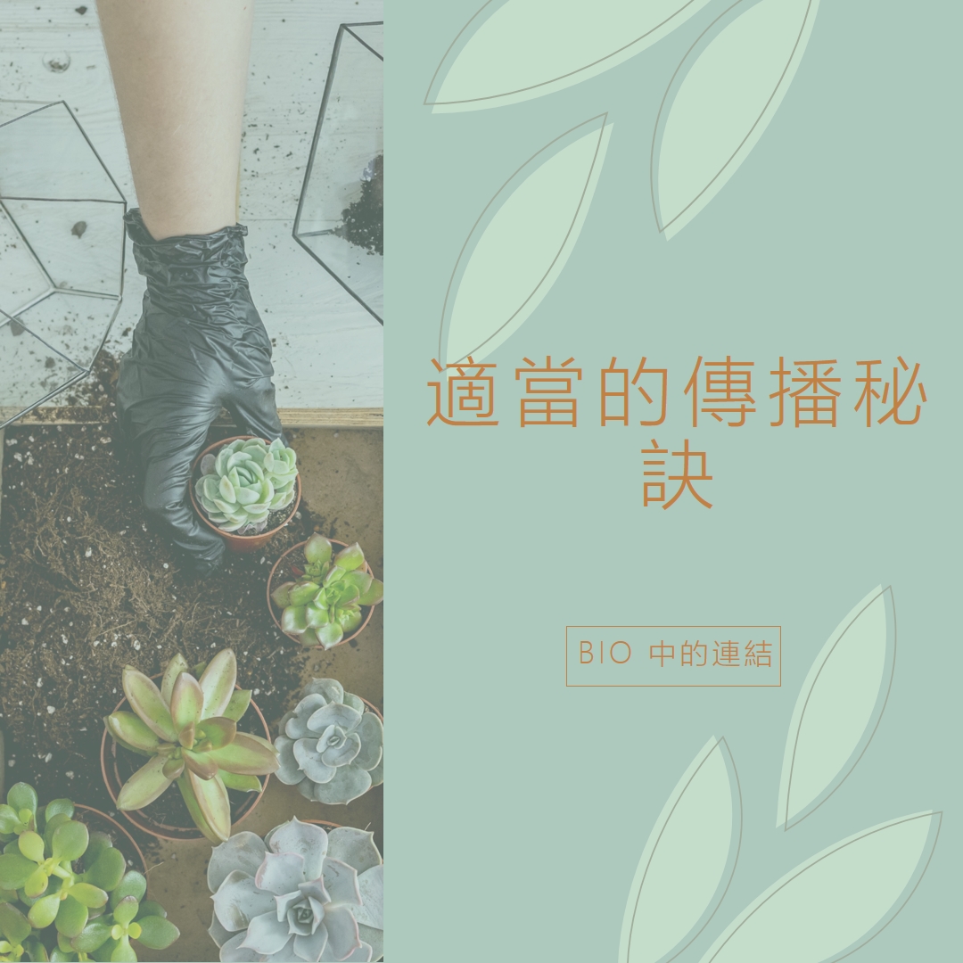 只是多肉植物 green organic-simple