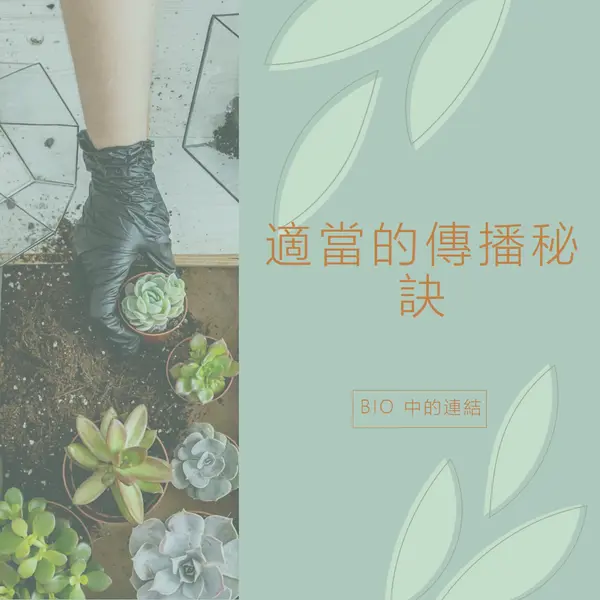 只是多肉植物 green organic-simple