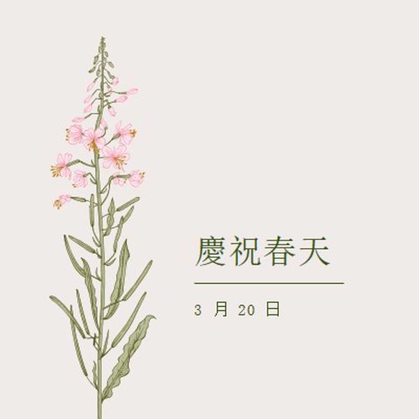 慶祝春天 white vintage-botanical