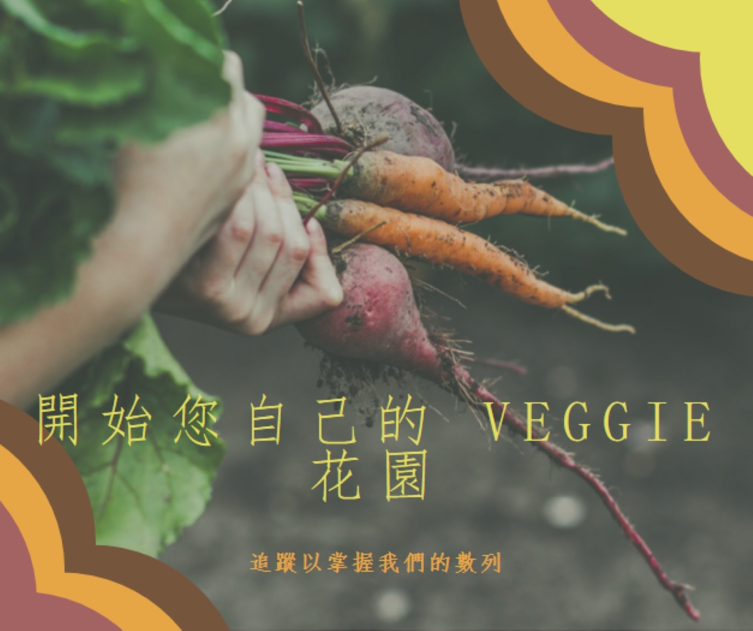 幅附的生命 orange vintage-retro