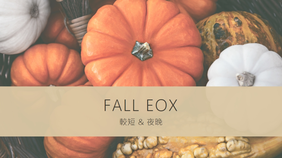 慶祝倒倒 eox orange modern-simple