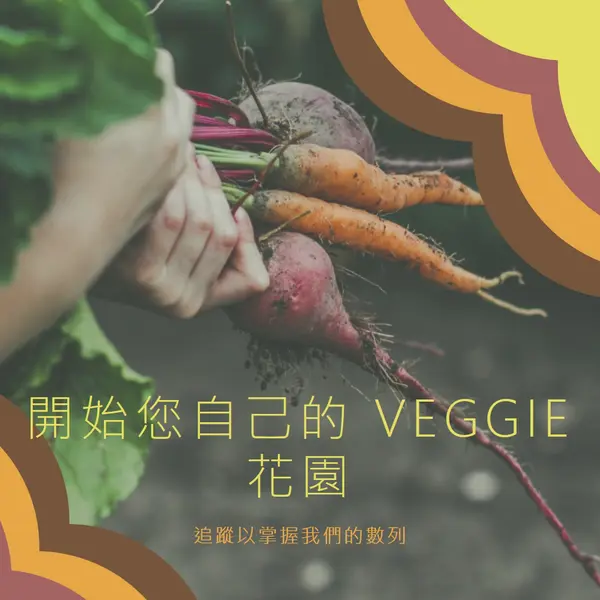 幅附的生命 orange vintage-retro