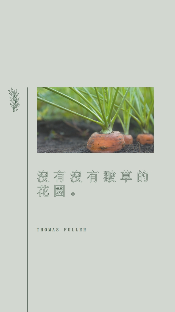 深根 green modern-simple