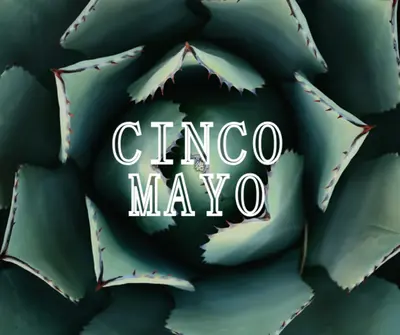 慶祝 Cinco de Mayo green modern-bold