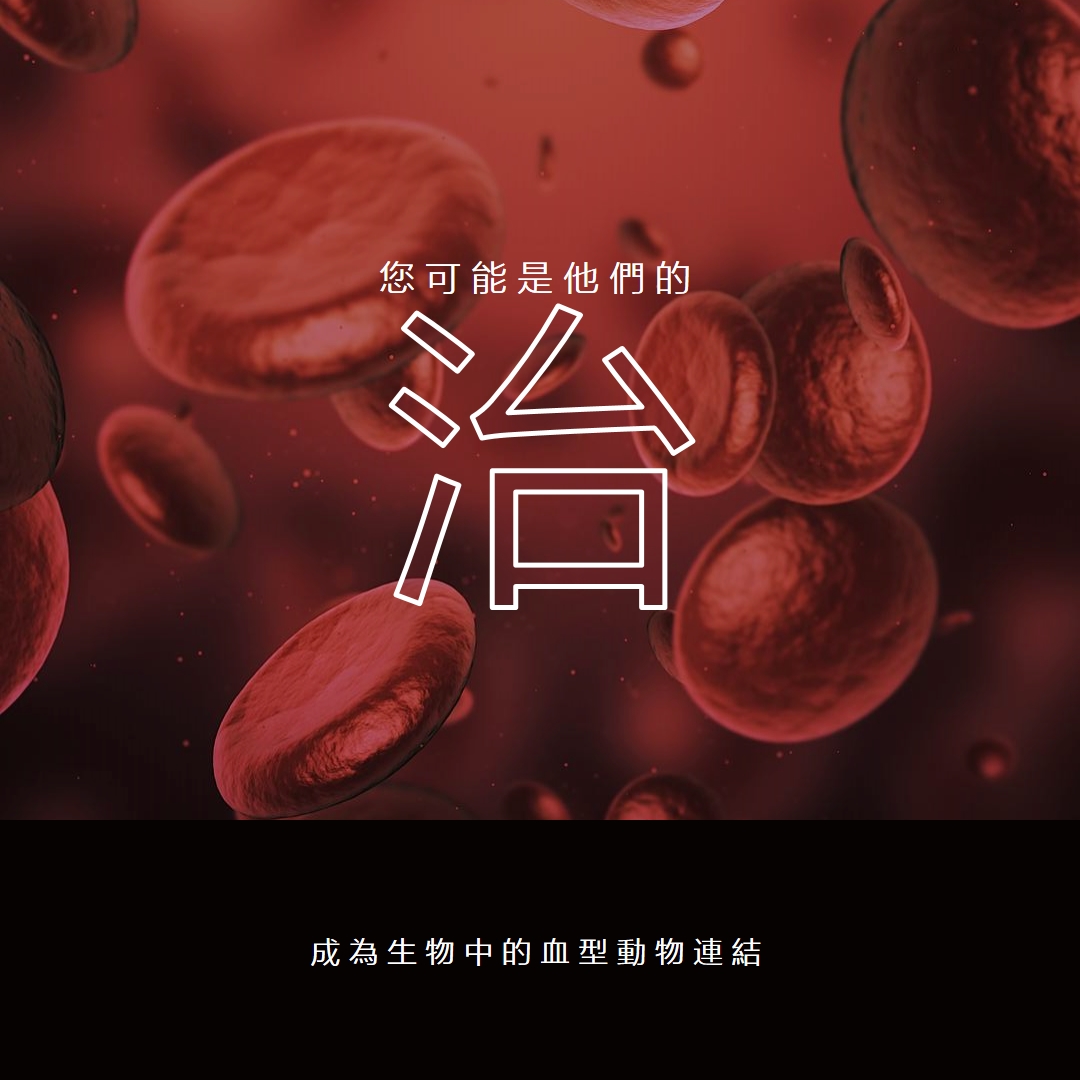 成為血脈動物 red modern-simple