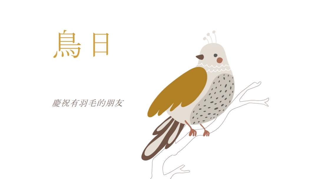 Sky 的限制 white whimsical-line