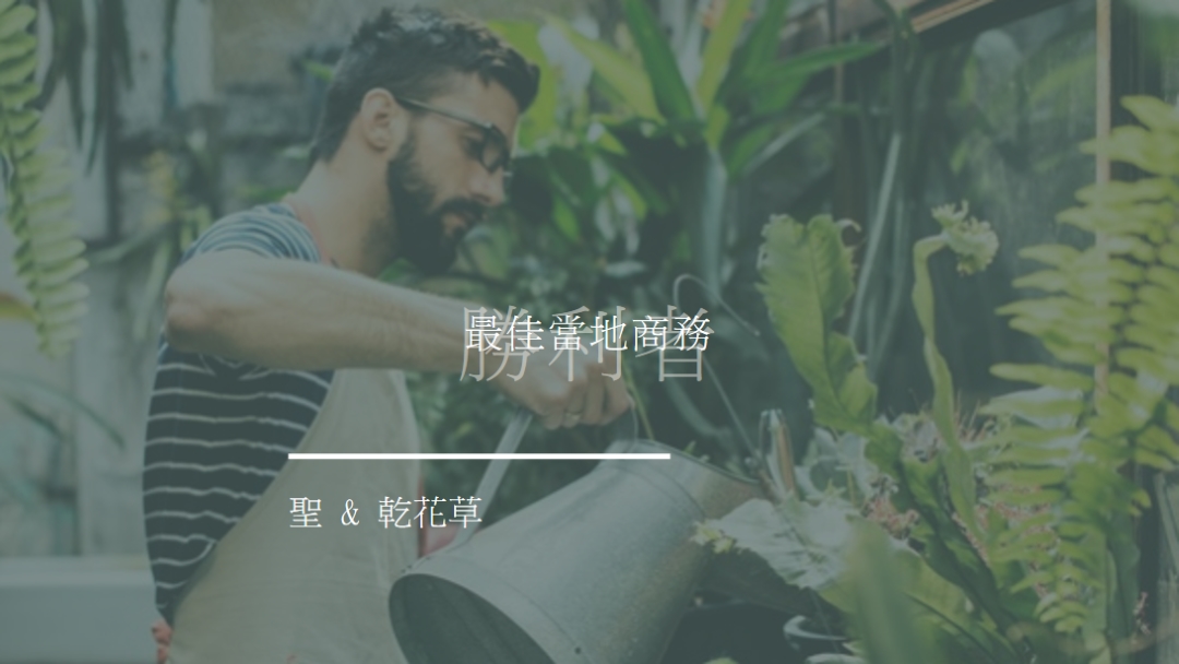 花園地數 green modern-simple