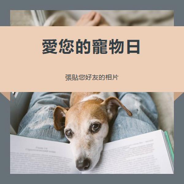 您的最佳夥伴 gray modern-simple