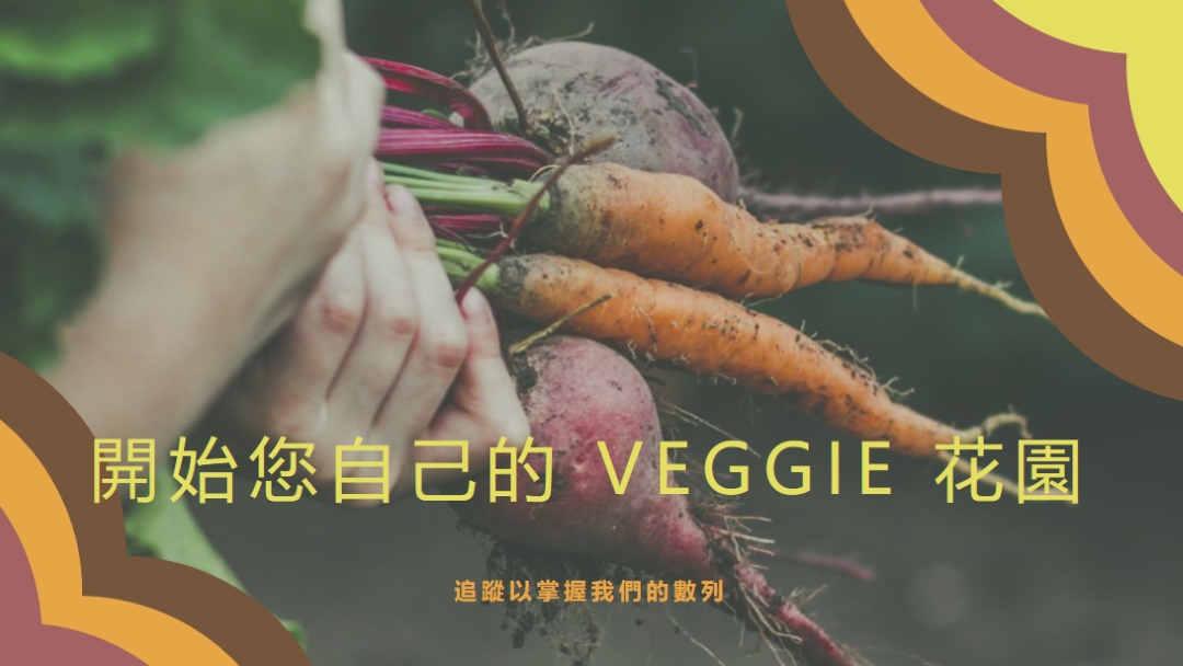 幅附的生命 orange vintage-retro