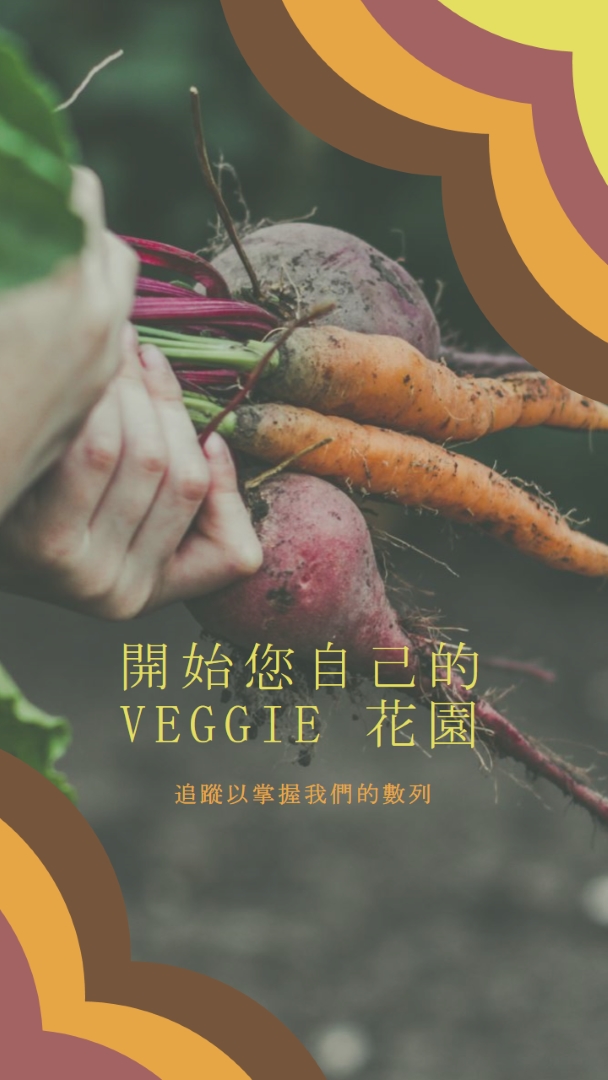 幅附的生命 orange vintage-retro