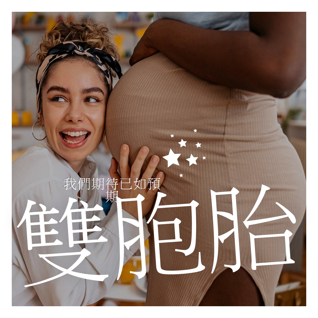 雙重遞送 brown modern-simple