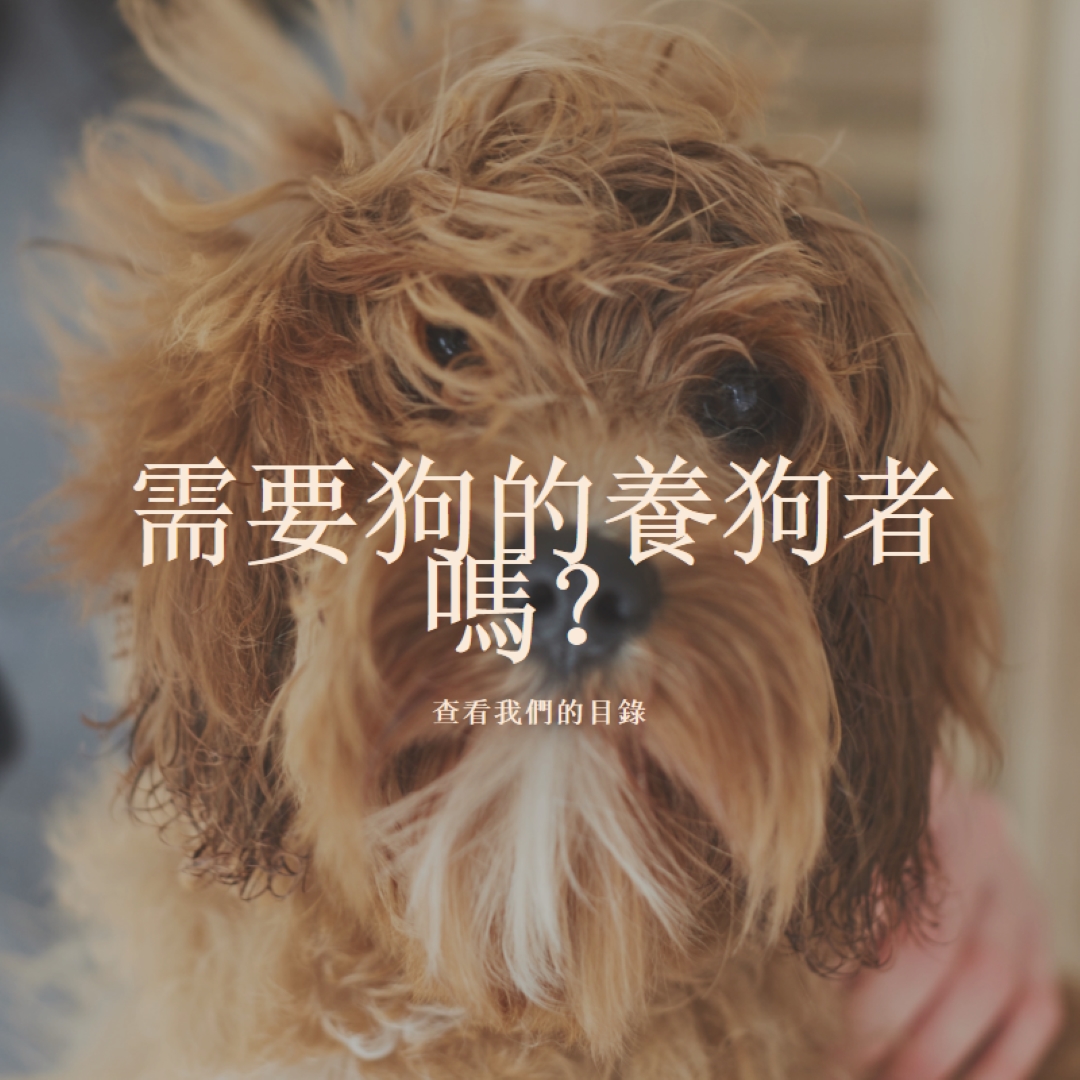 刷新以流暢 brown modern-simple
