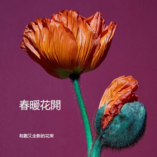 鮮花 purple modern-simple