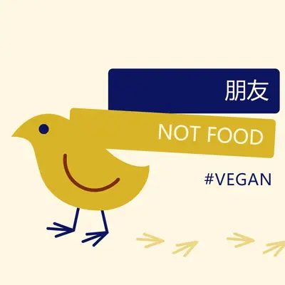 好友，不是食物 yellow whimsical-color-block