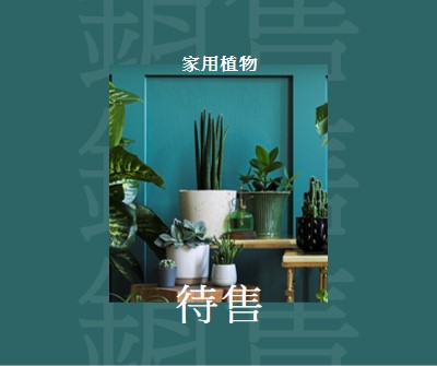 植物電源 green modern-bold