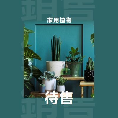 植物電源 green modern-bold