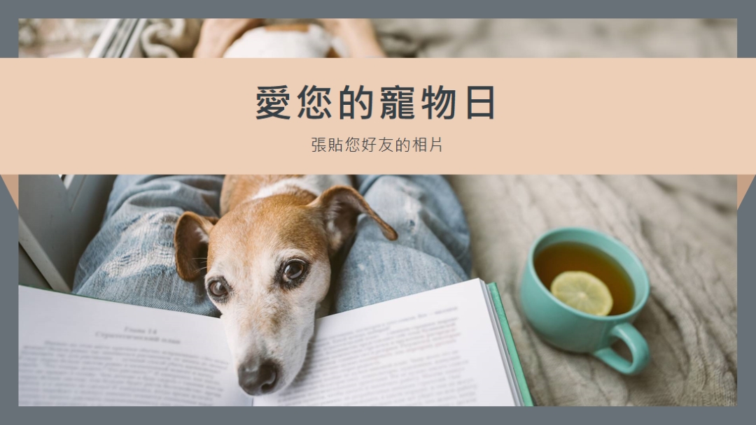 您的最佳夥伴 gray modern-simple