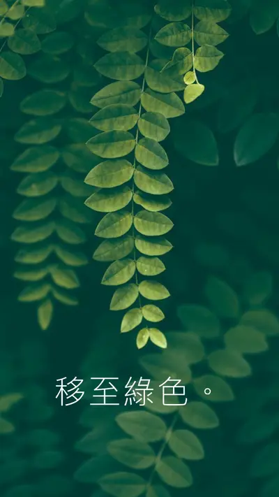 將貨物放入 green modern-simple