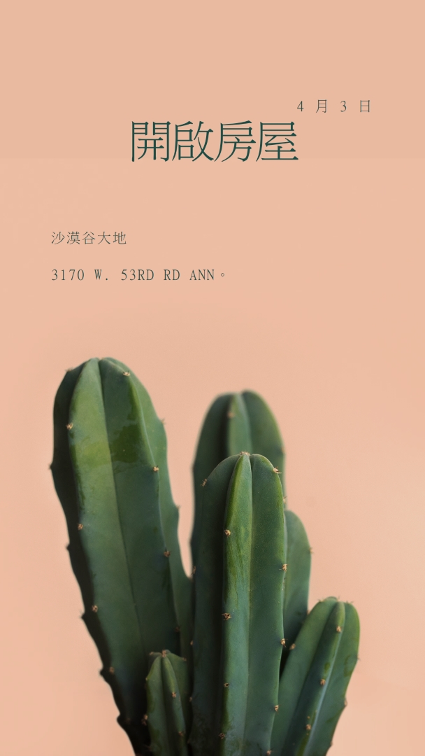 4 月 3 日開放式房屋 pink modern-simple