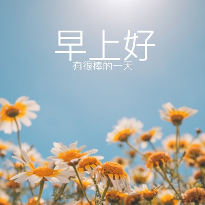 有一個很棒的一天 blue modern,simple,photography,flowers,birght,fresh