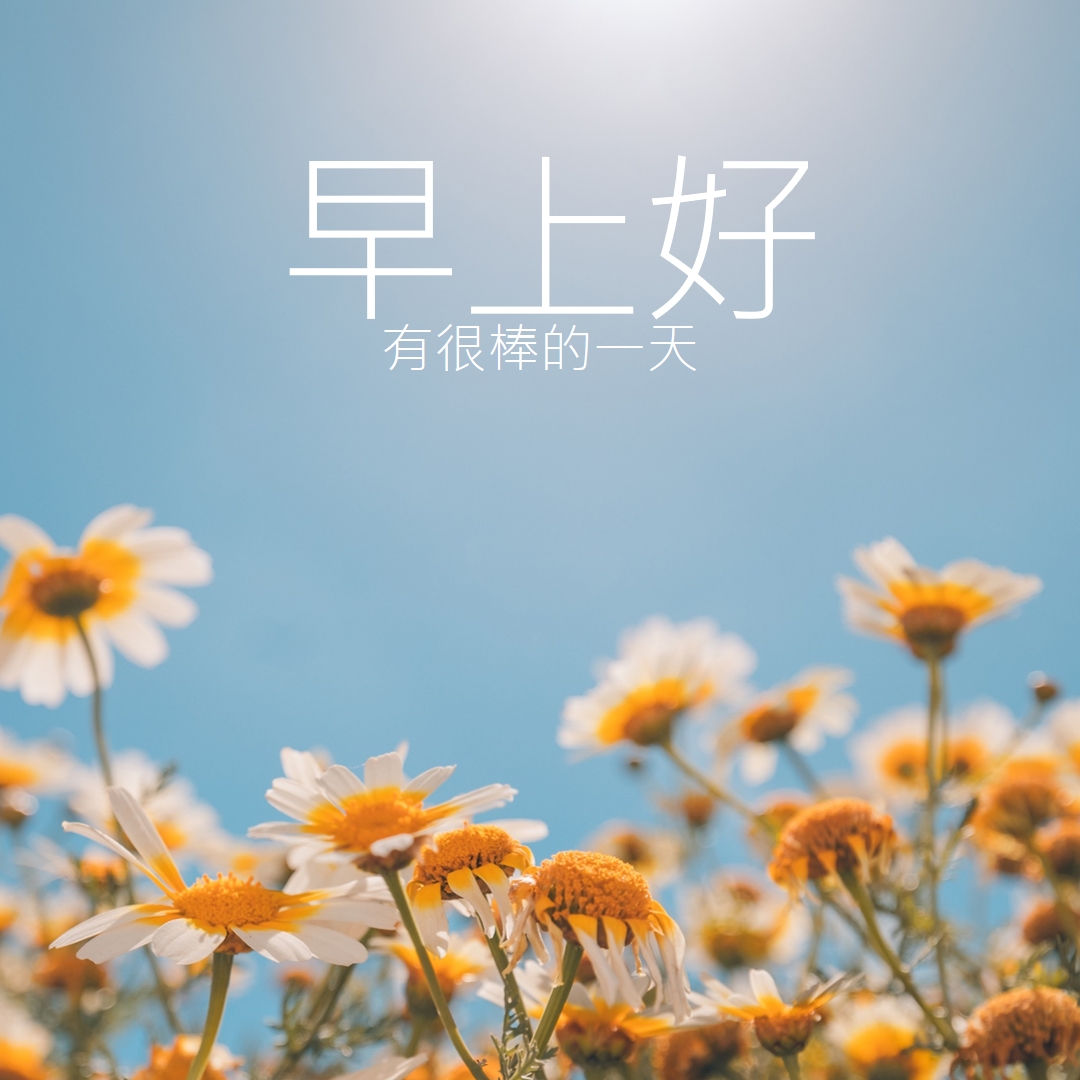 有一個很棒的一天 blue modern,simple,photography,flowers,birght,fresh