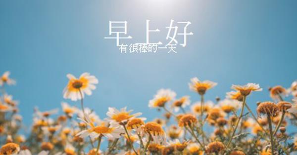 有一個很棒的一天 blue modern,simple,photography,flowers,birght,fresh