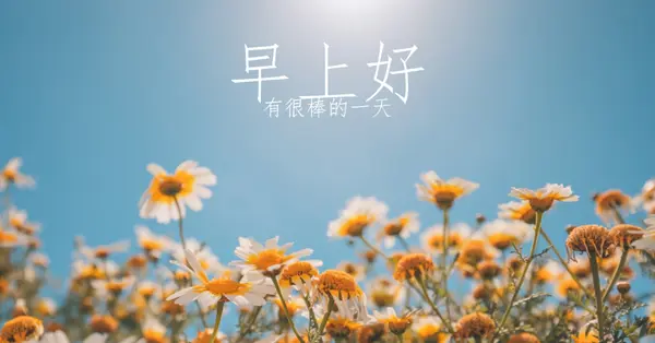 有一個很棒的一天 blue modern,simple,photography,flowers,birght,fresh