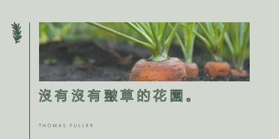 深根 green modern-simple