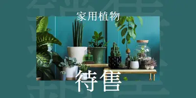 植物電源 green modern-bold