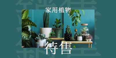 植物電源 green modern-bold