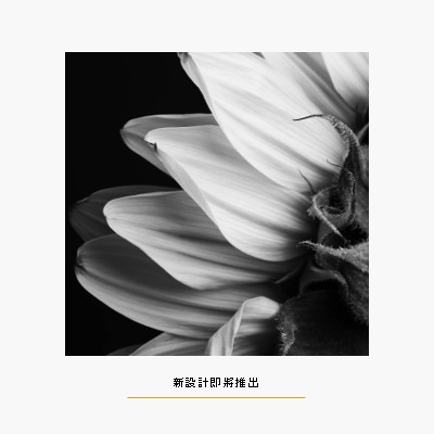 清爽的花瓣 white modern-simple