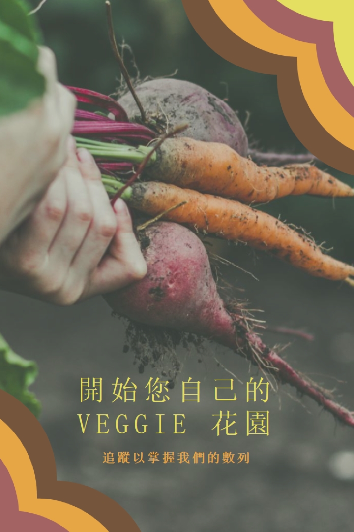 幅附的生命 orange vintage-retro