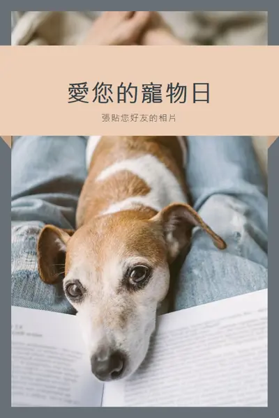 您的最佳夥伴 gray modern-simple