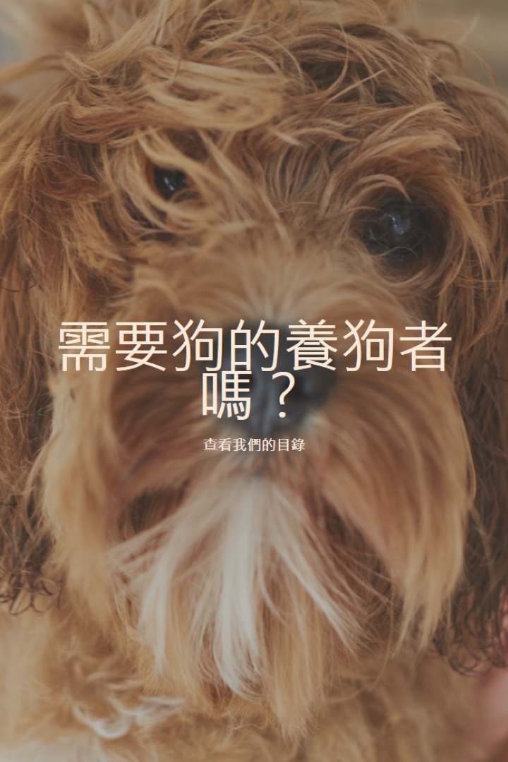 刷新以流暢 brown modern-simple