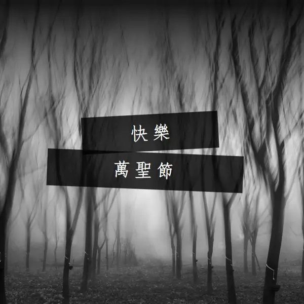 黑森林 gray modern-simple