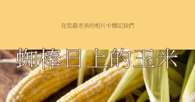 cob 小隊 yellow modern-simple