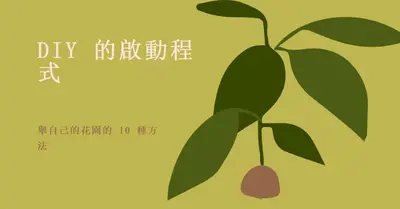 養起您自己的花園 green modern-color-block