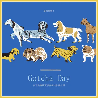 協助更多狗尋找住家 blue dog,illustration,playful