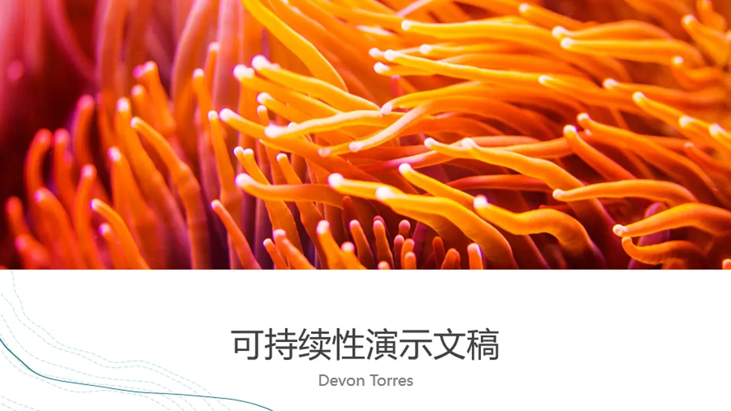 海洋图案演示文稿 organic-simple