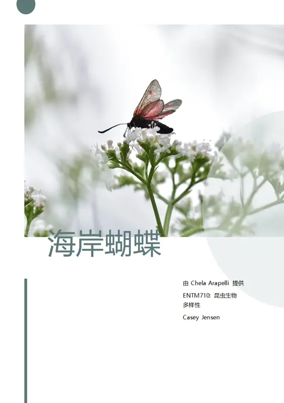 学生论文 modern simple