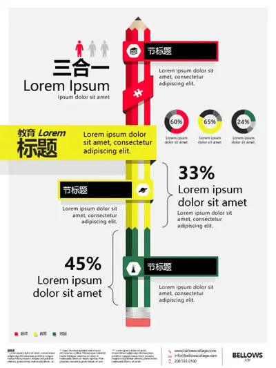 教育信息图海报 modern-bold