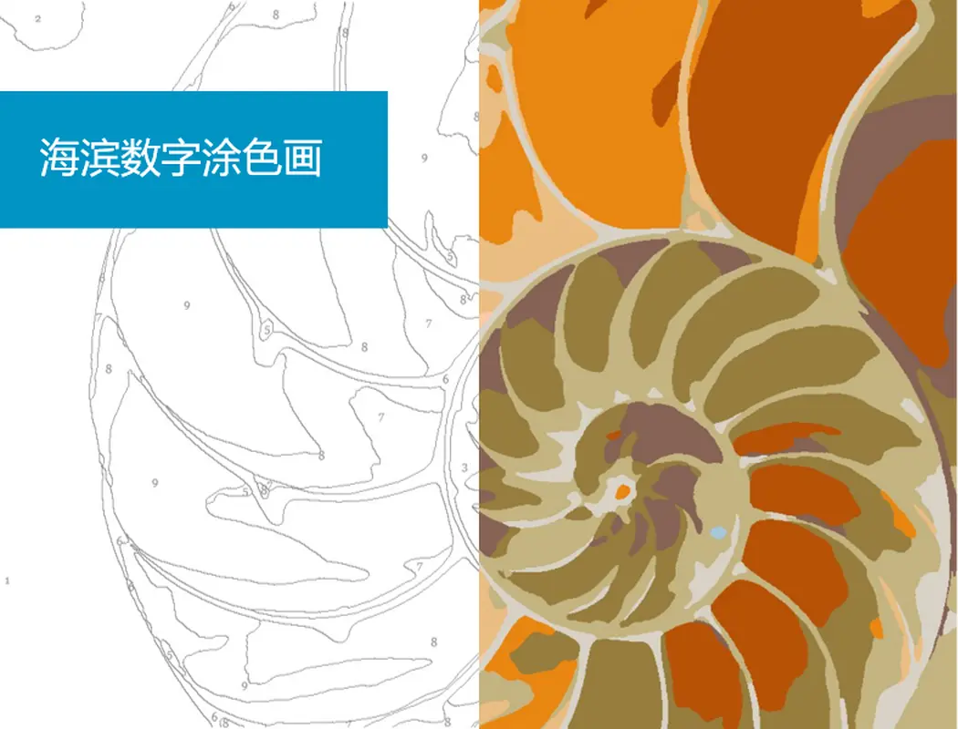 海滨数字涂色画 organic simple