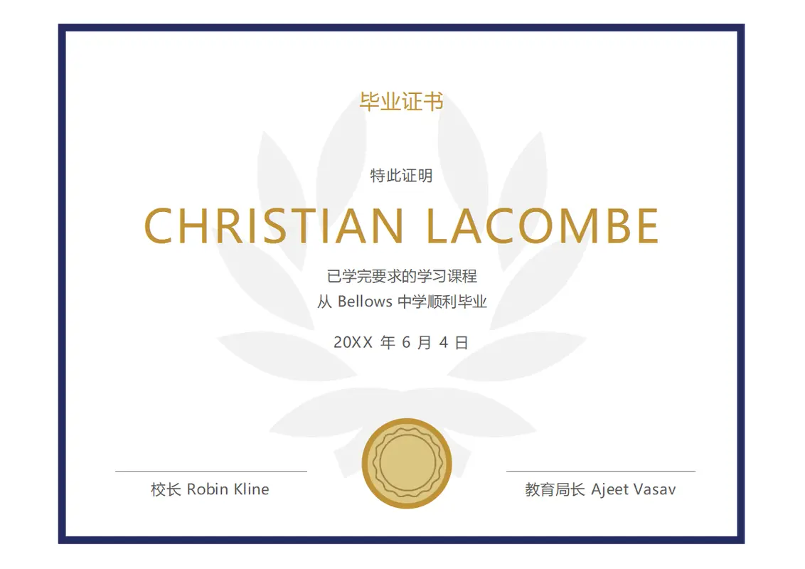 毕业证书 modern simple