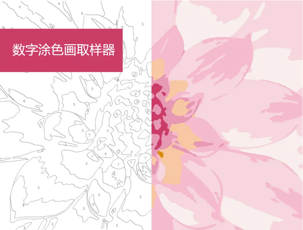 数字涂色画取样器 modern simple