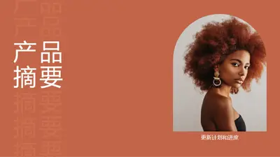 产品摘要演示 modern simple